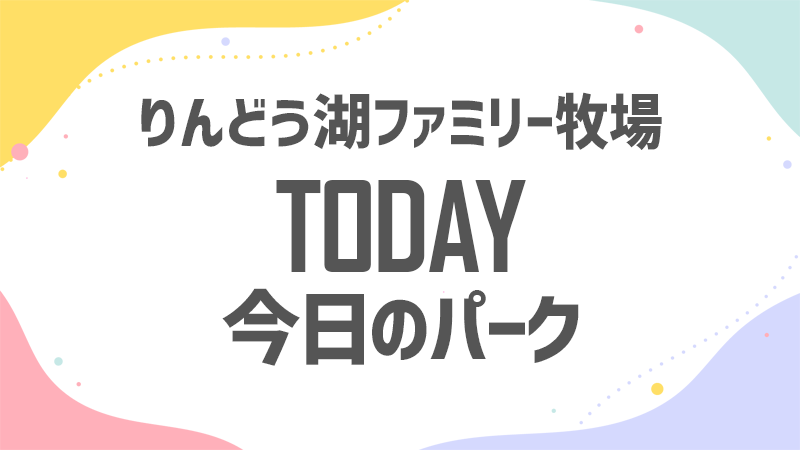 今日のりんどう湖 混雑状況