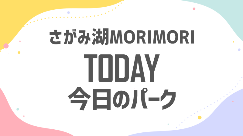 今日のさがMORI 混雑状況